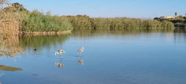 Vera Natura Apartamento Laura Daire Dış mekan fotoğraf