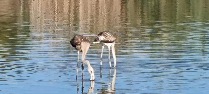 Vera Natura Apartamento Laura Dış mekan fotoğraf